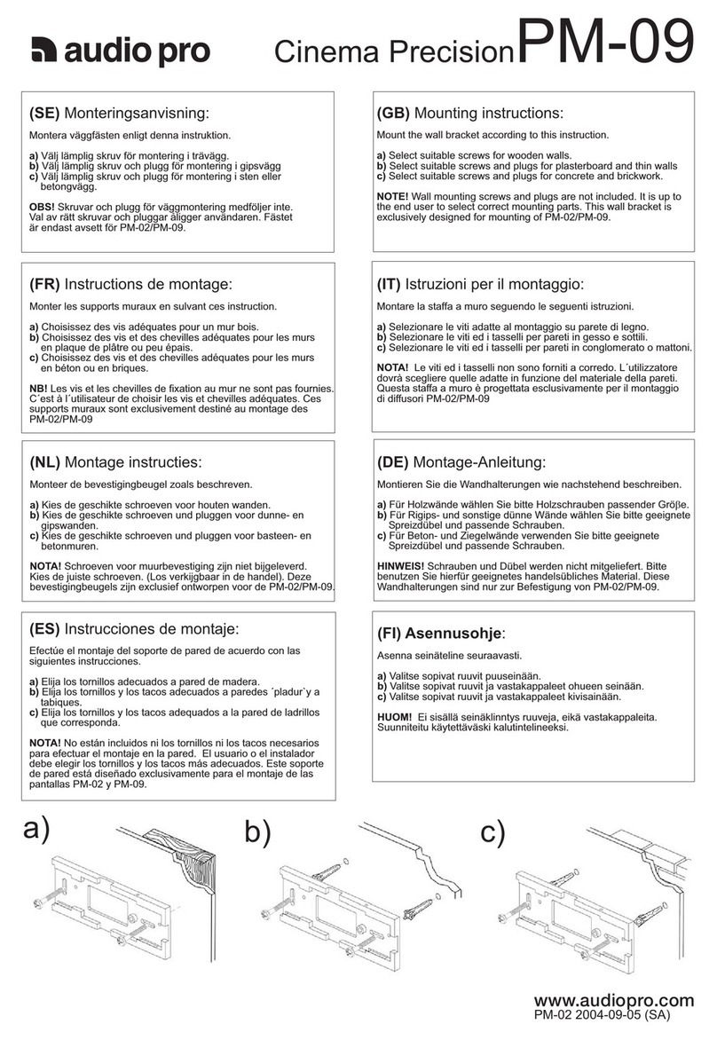 Audio Pro Cinema Precision Series PM-09C User manual