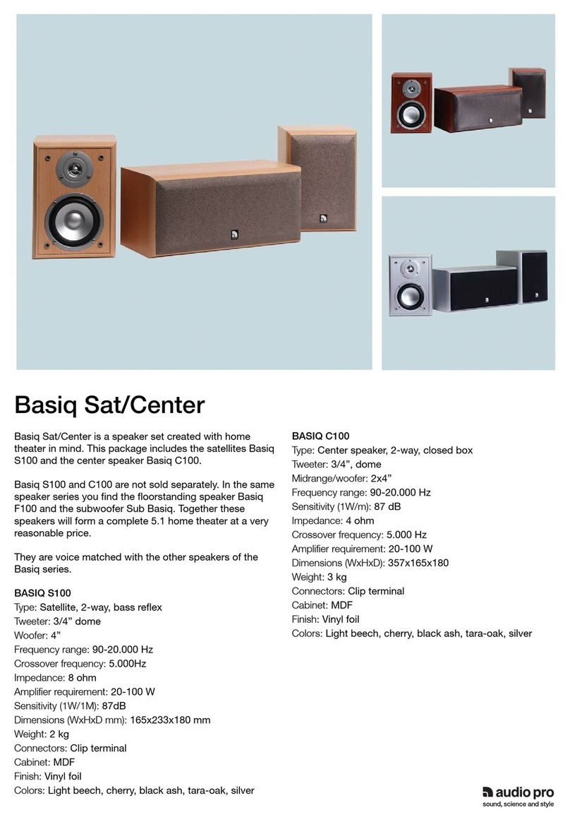 Audio Pro BASIQ C100 Specifications