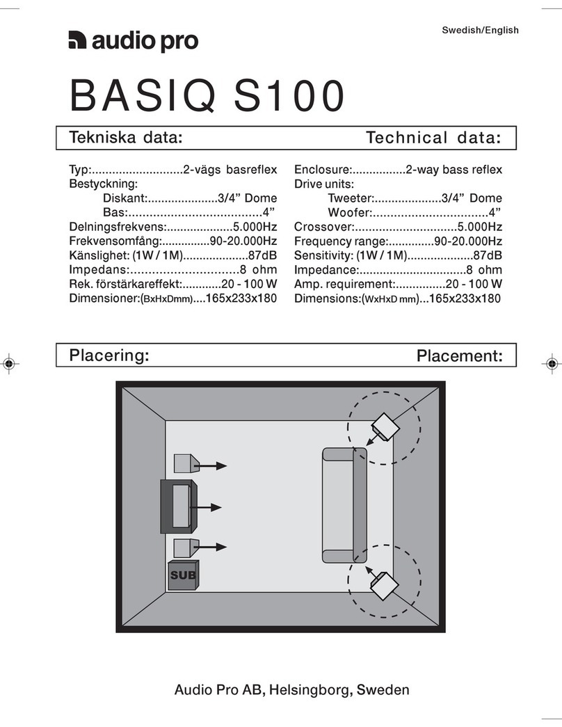 Audio Pro BASIQ S100 Technical data