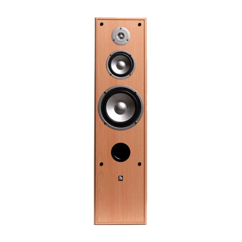Audio Pro BASIQ F100 User manual