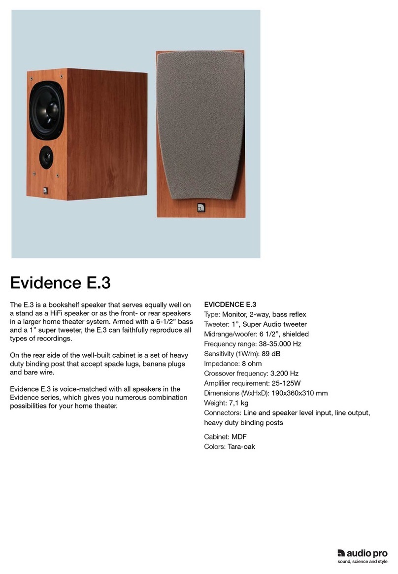Audio Pro Evidence E.3 User manual