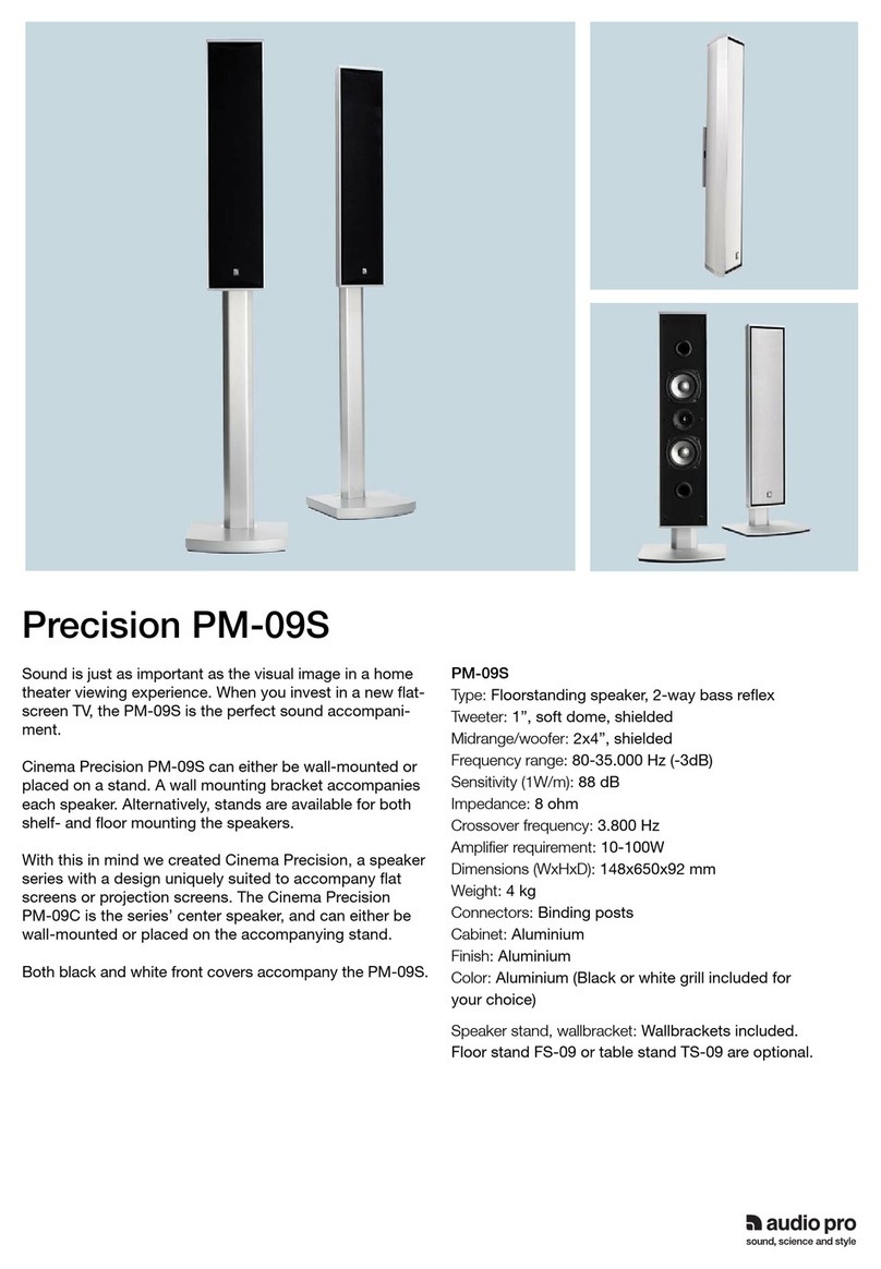 Audio Pro Cinema Precision Series PM-09S Specifications