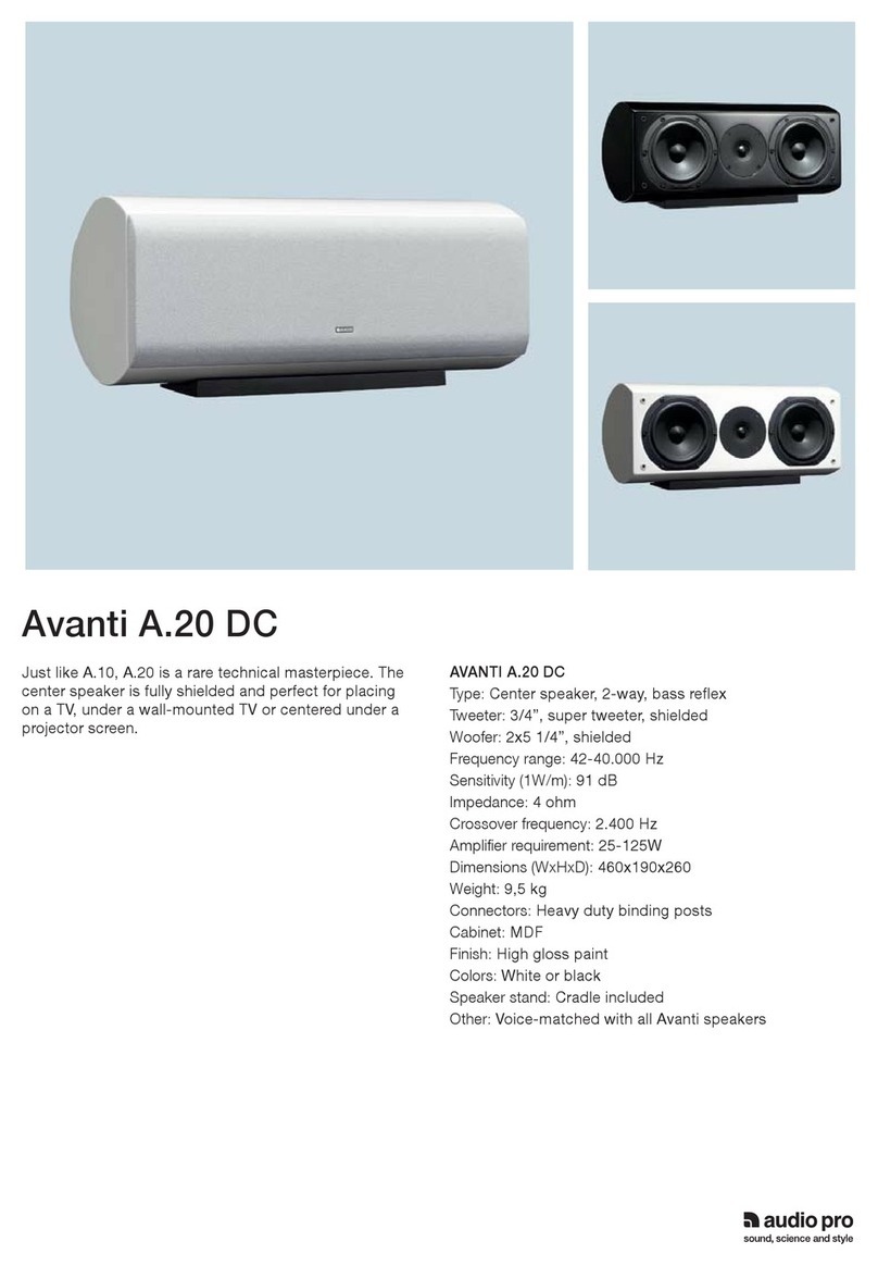 Audio Pro Avanti A.20 DC Specifications