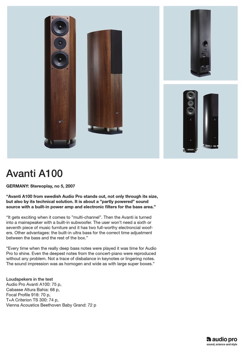 Audio Pro Avanti A.100 datasheet