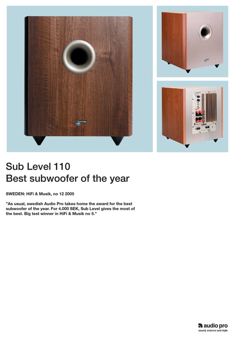 Audio Pro Level Series 110 User manual