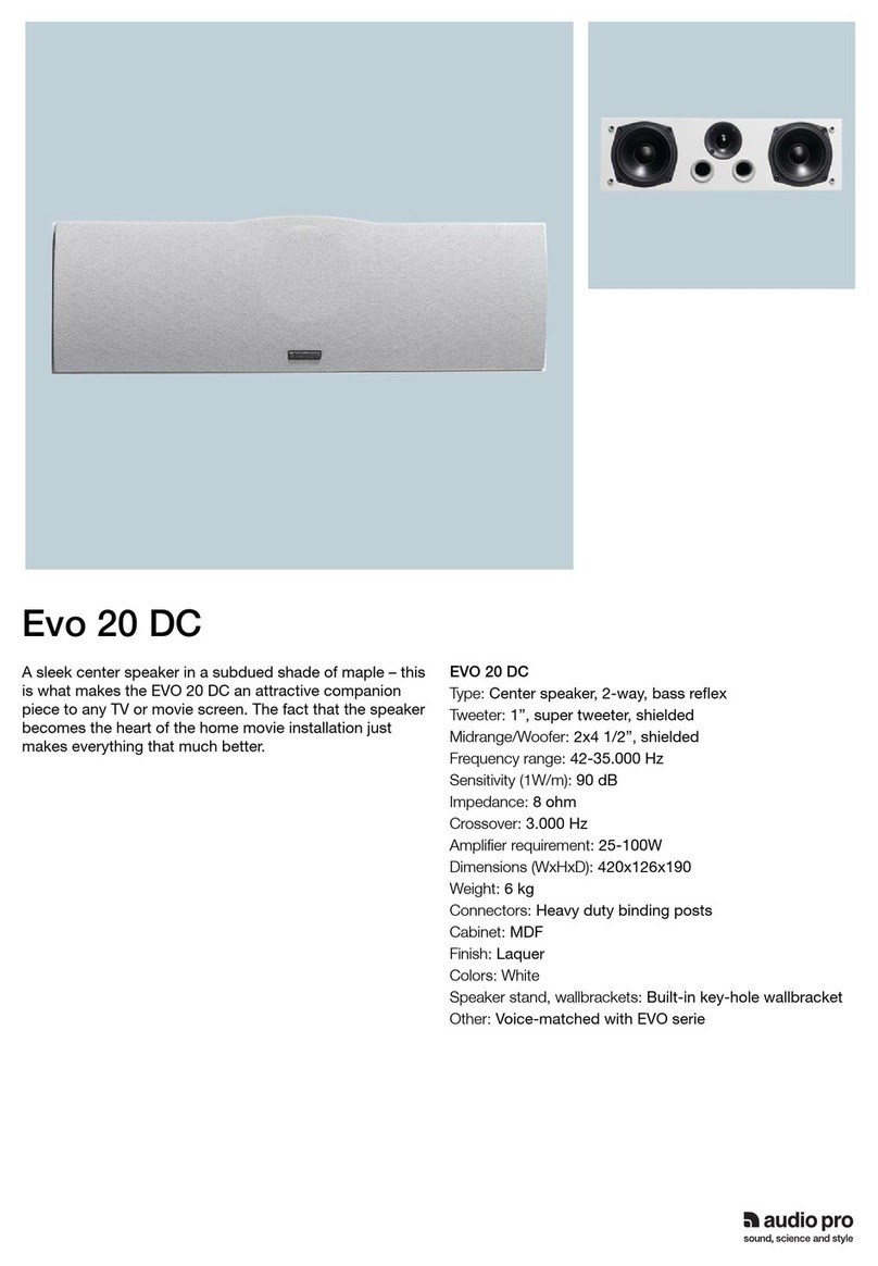Audio Pro EVO 20DC User manual