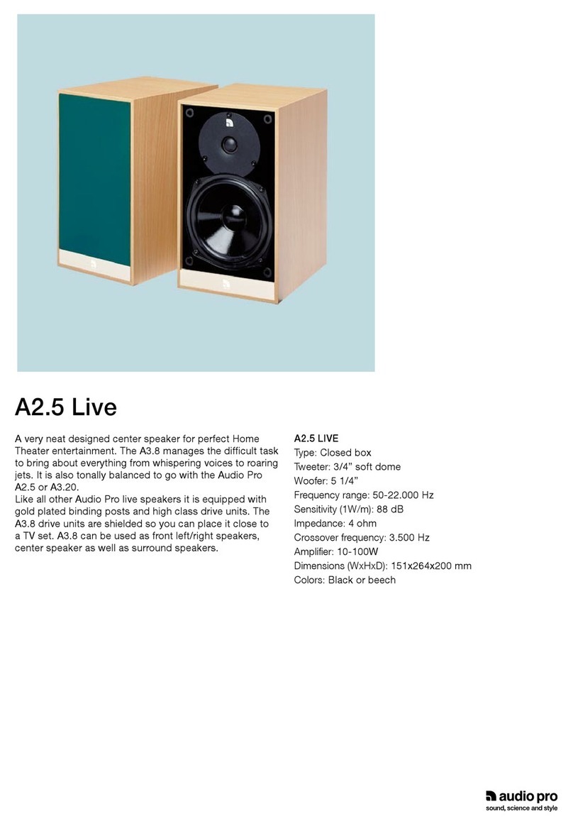 Audio Pro A2.5 Live Brochure & specs