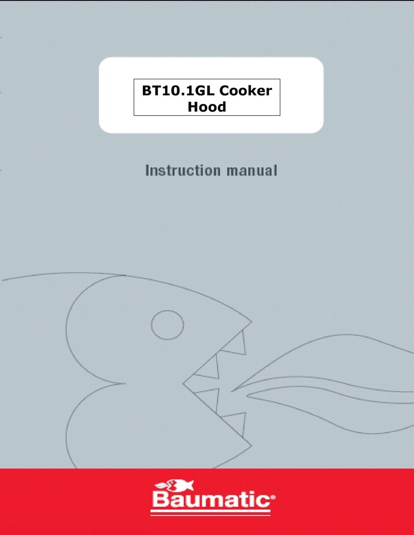 Baumatic BT10.1GL User manual