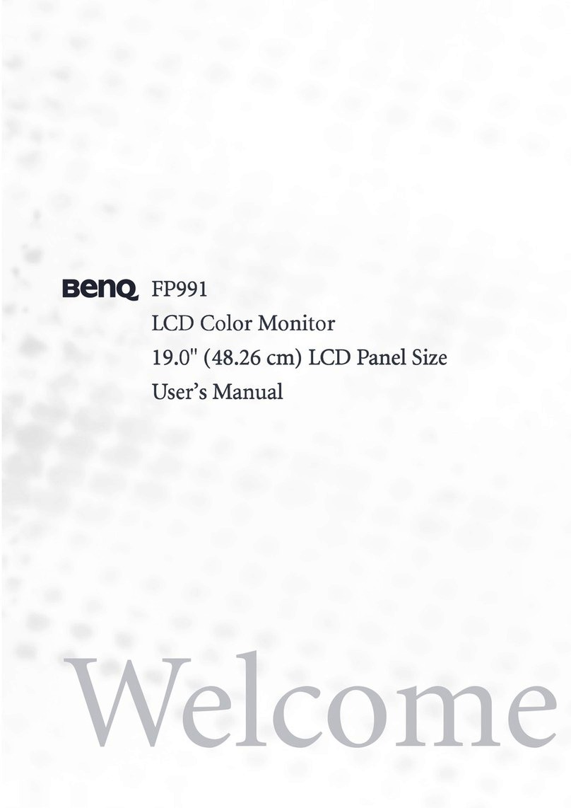 BenQ FP991 - 19" LCD Monitor User manual
