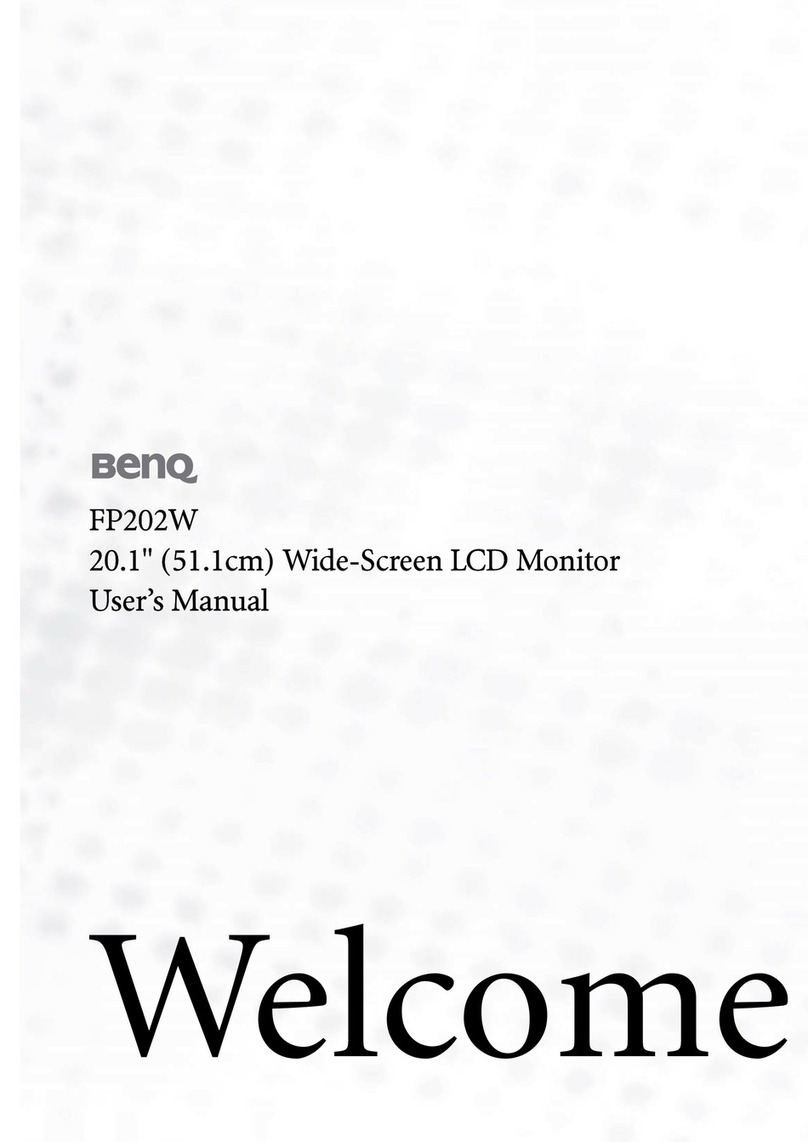 BenQ FP202W - 20" LCD Monitor user manual