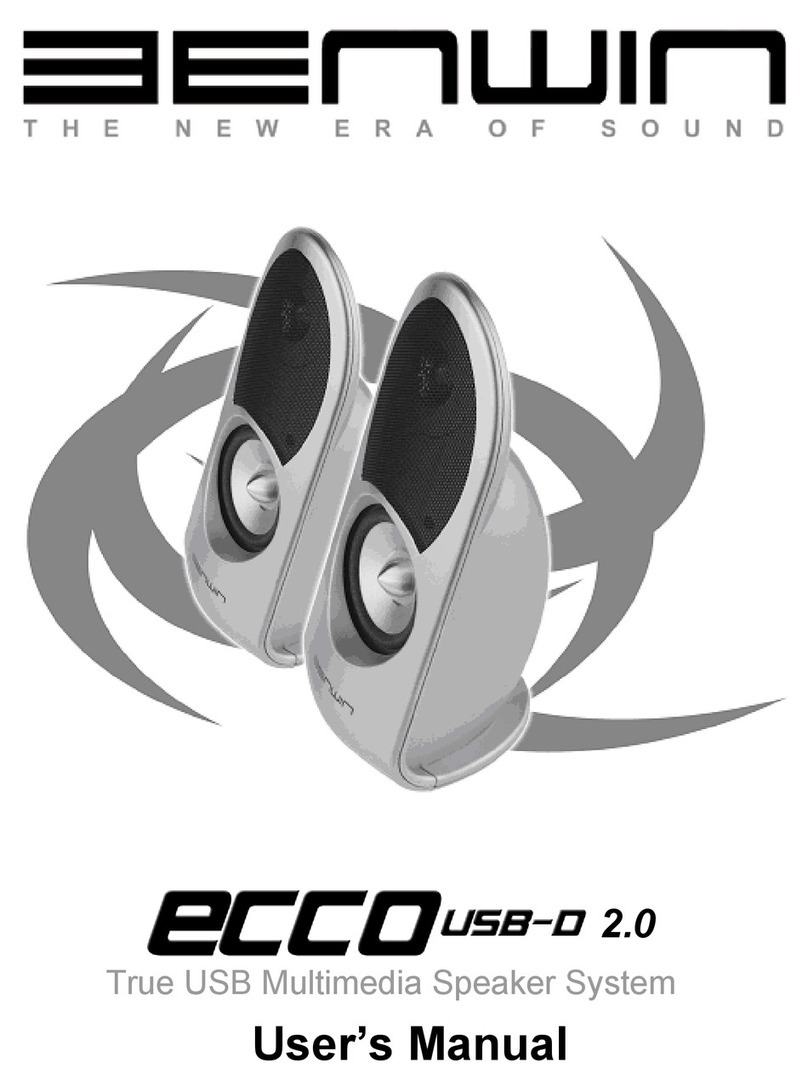 Benwin ECCO USB-D 2.0 user manual