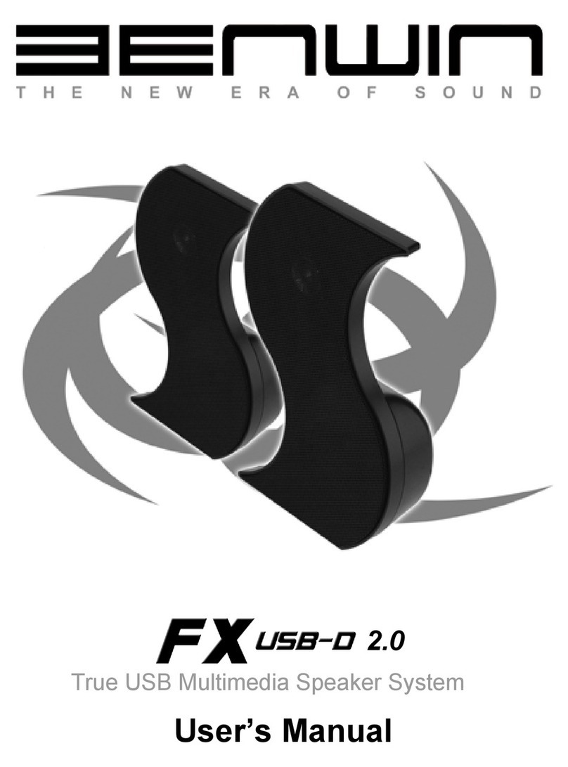 Benwin FX USB-D 2.0 User manual