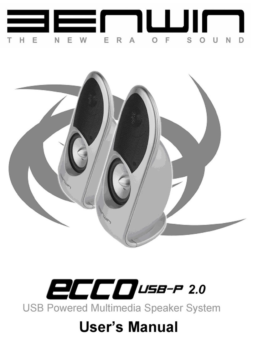 Benwin ECCO USB-P 2.0 user manual