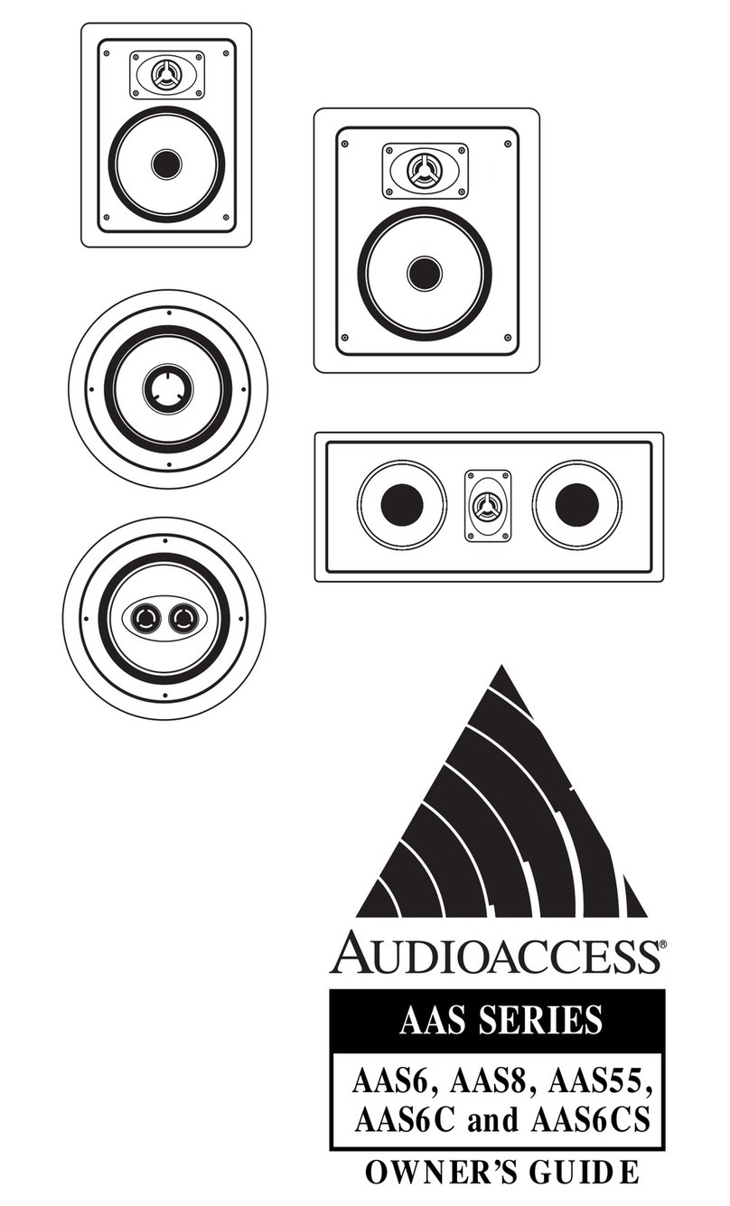 Audioaccess AAS6 User manual