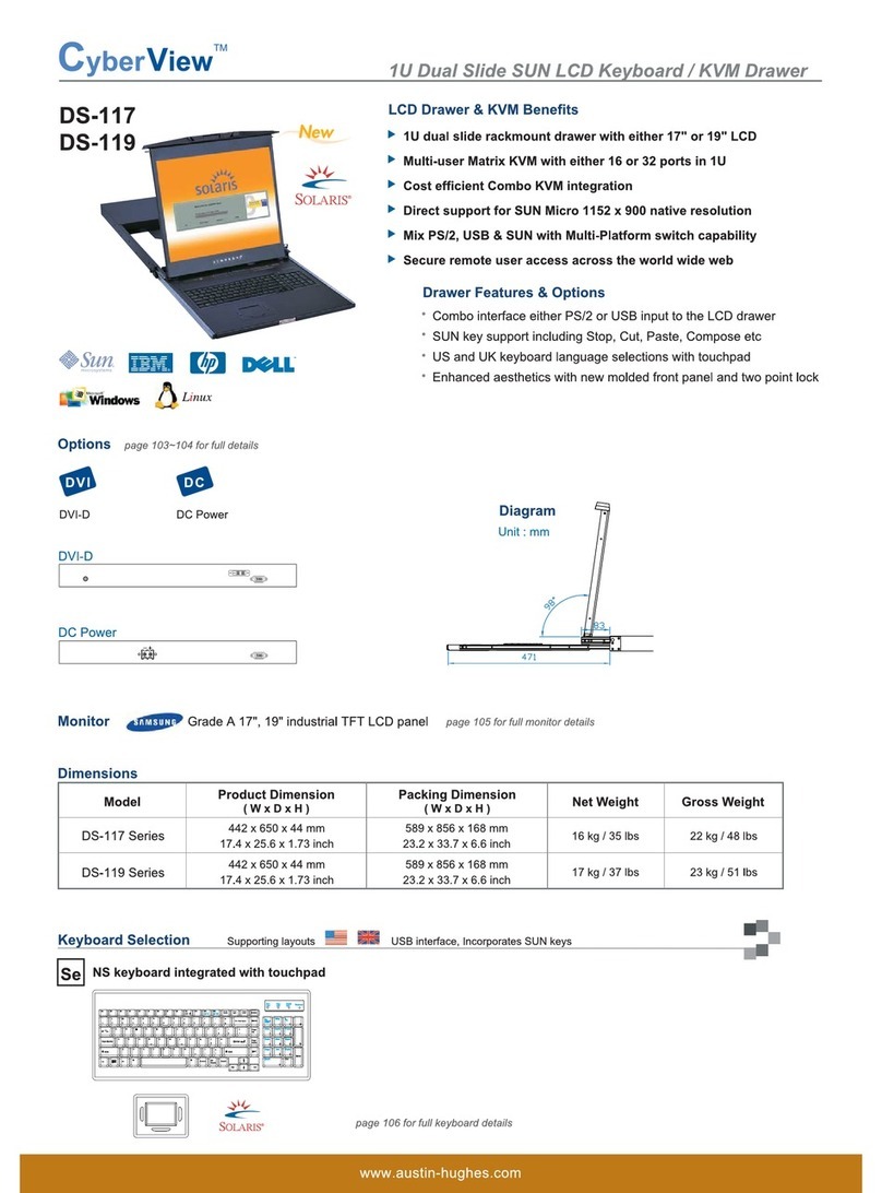 Austin Hughes Electronics Cyberview DS-117 User manual