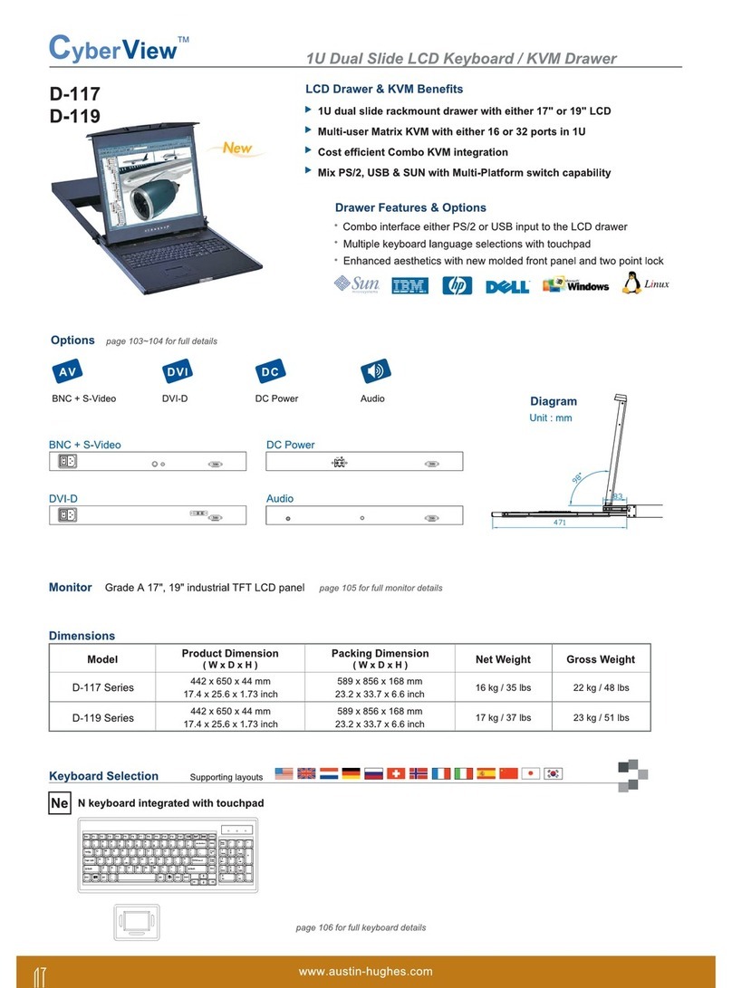 Austin Hughes Electronics Cyberview D-117 Specifications