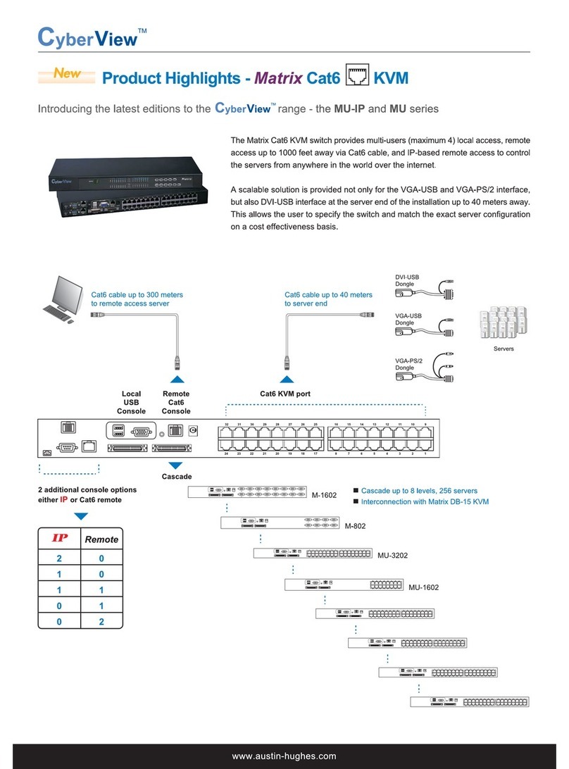 Austin Hughes Electronics CyberView M-802 User manual