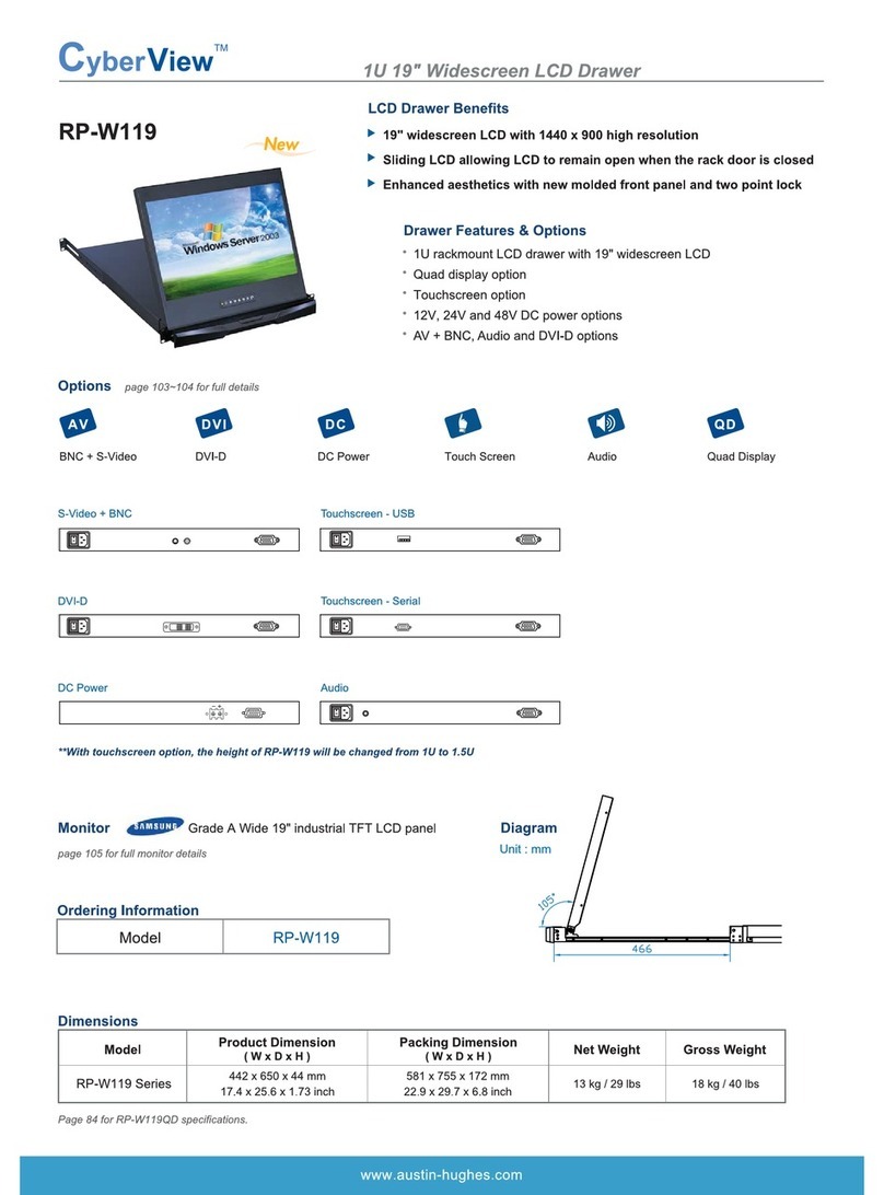 Austin Hughes Electronics CyberView RP-W119 User manual