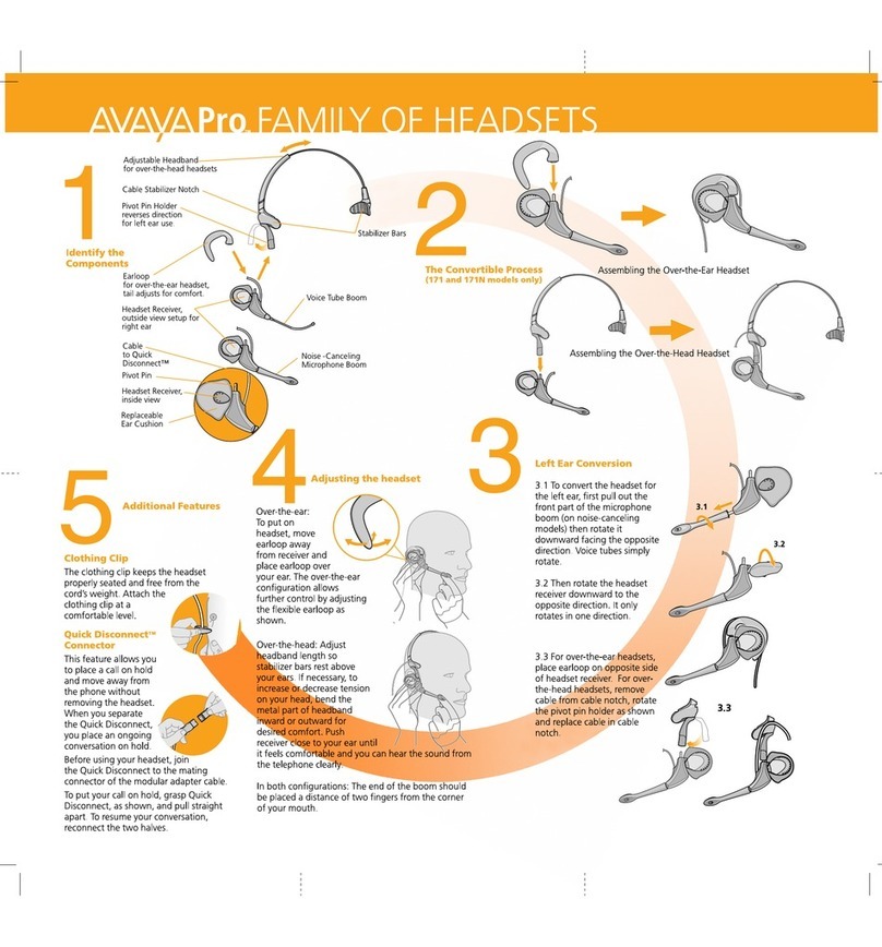 Avaya H171N reference guide