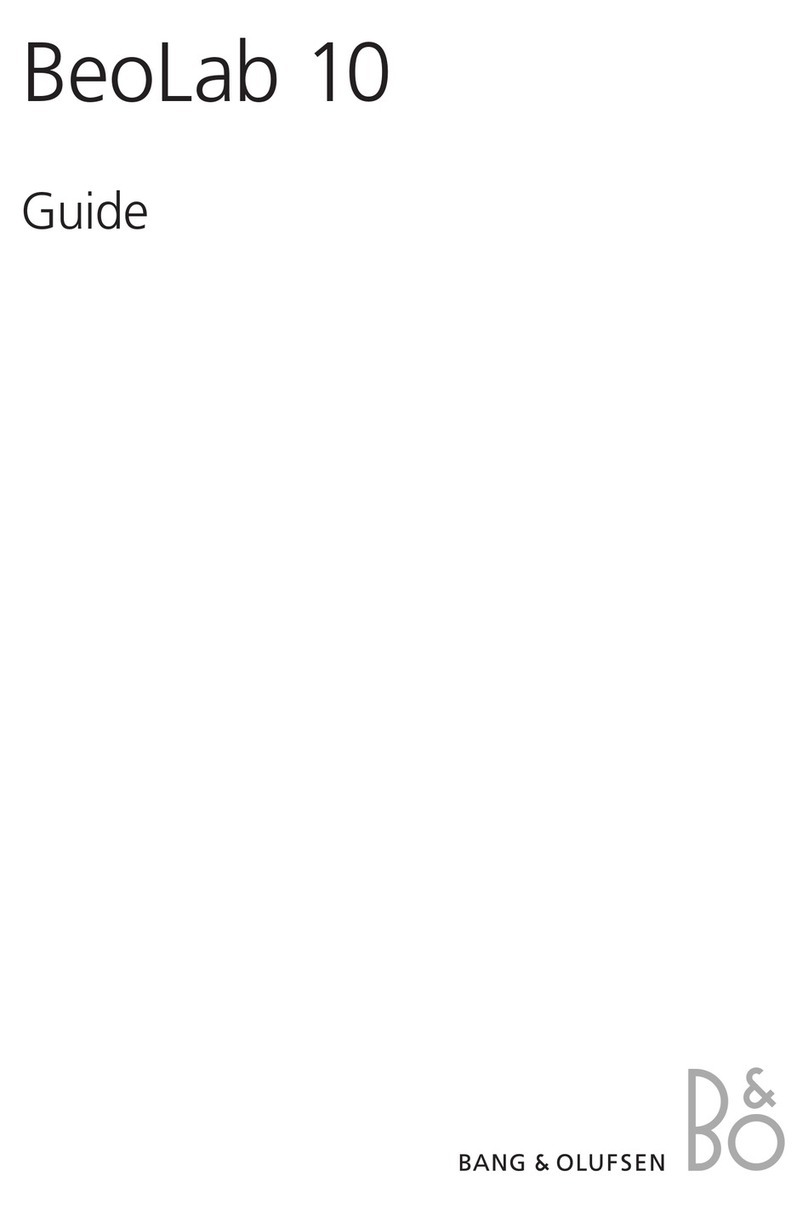 Bang & Olufsen BeoLab 10 Guide