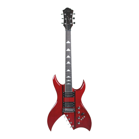 B.C. Rich Bich 10 Brochure & specs