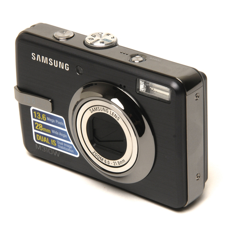 Samsung L313 User manual