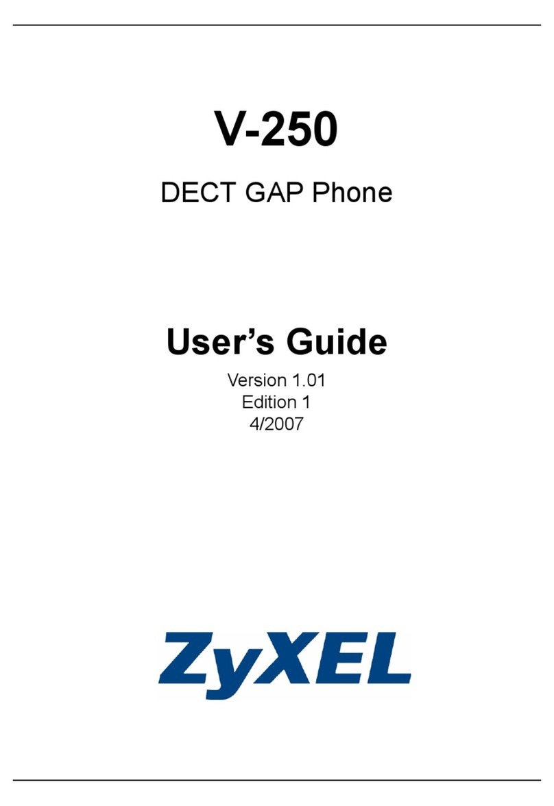 ZyXEL Communications V-250 user guide