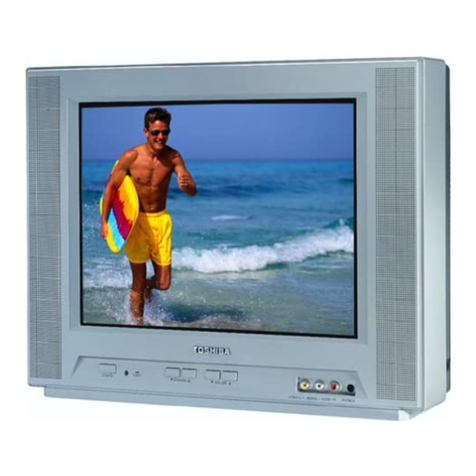 Toshiba FSTPURE ColorStream 14AF42 User manual