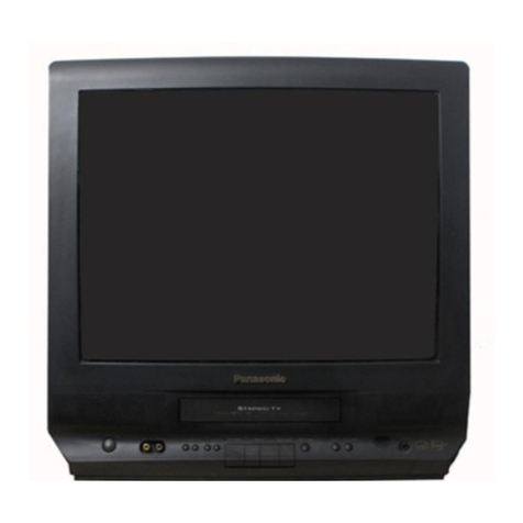 Panasonic OmniVision PV-M2048 User manual