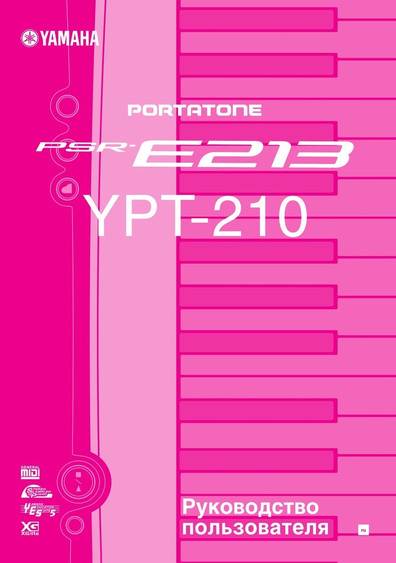 Yamaha Portatone YPT-210 