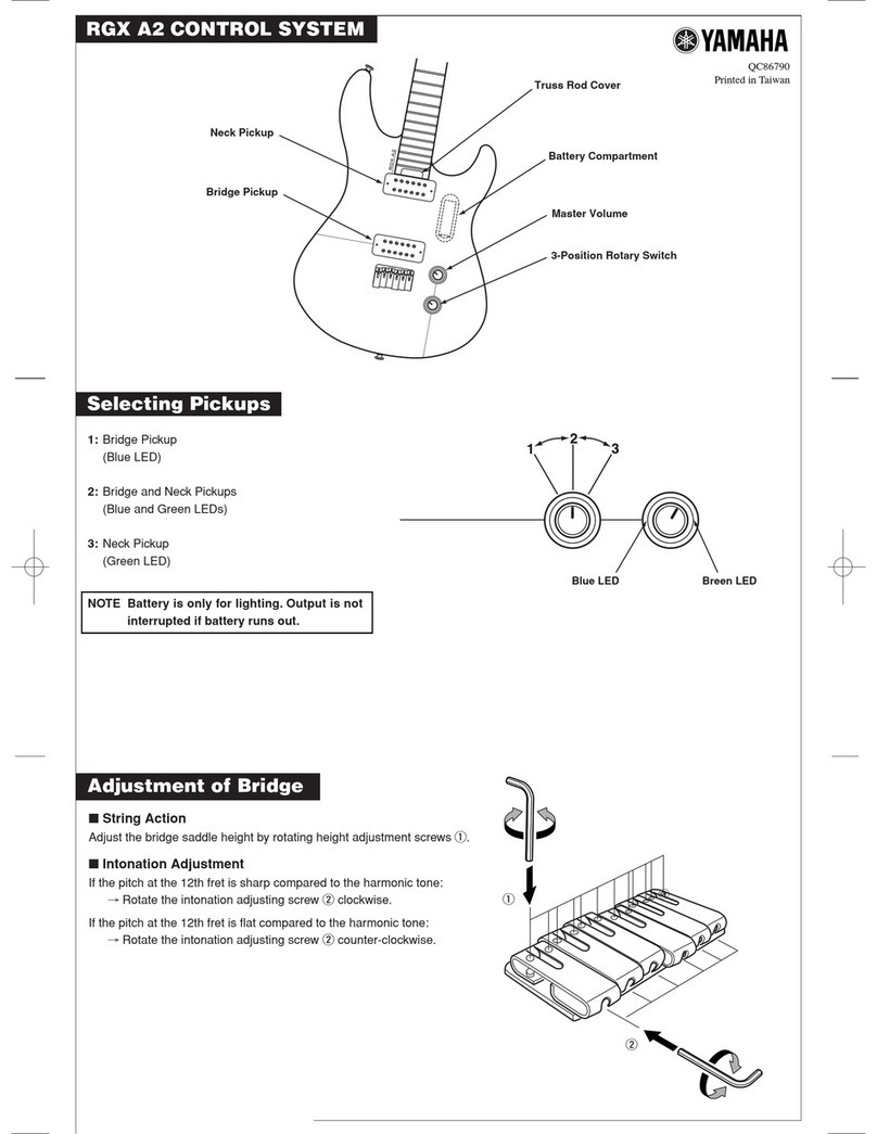 Yamaha RGX User manual