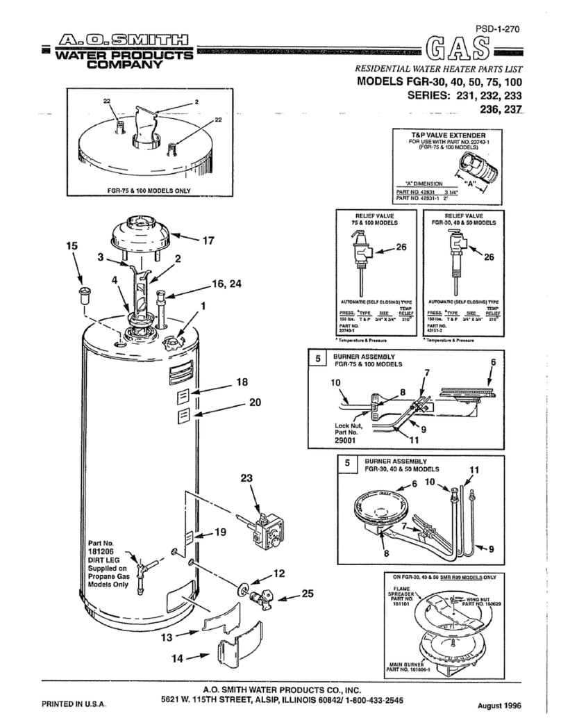 A.O. Smith FGR 100 User manual A.O. Smith FGR 100 User manual