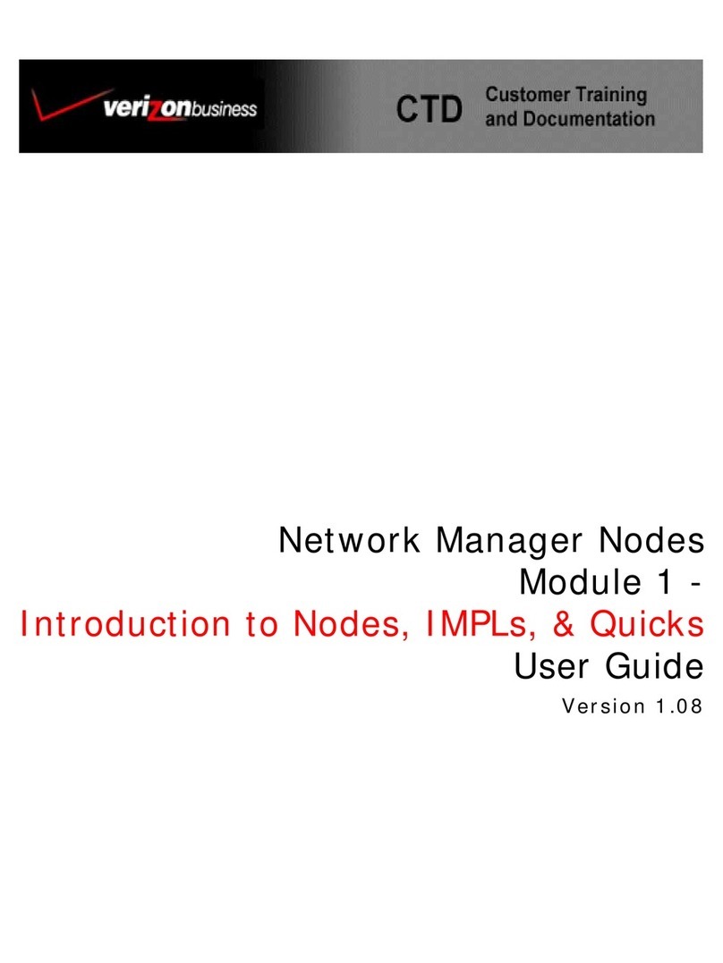 Verizon Network Manager Nodes User manual