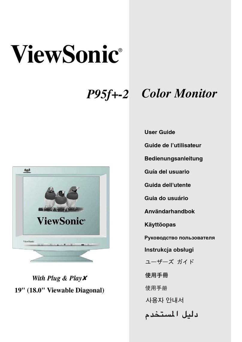 ViewSonic P95f+-2 User manual