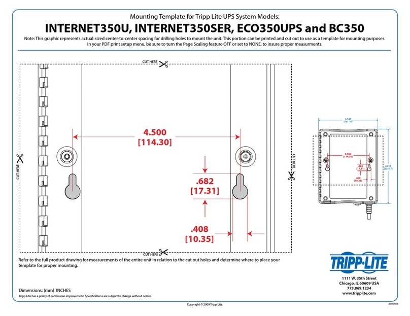 Tripp Lite INTERNET350U Guide