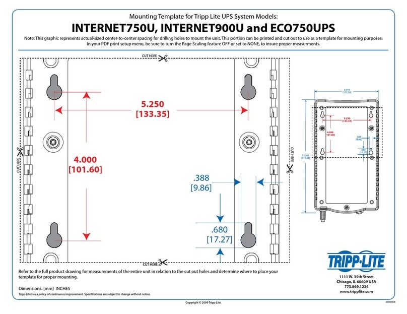 Tripp Lite INTERNET900U Guide