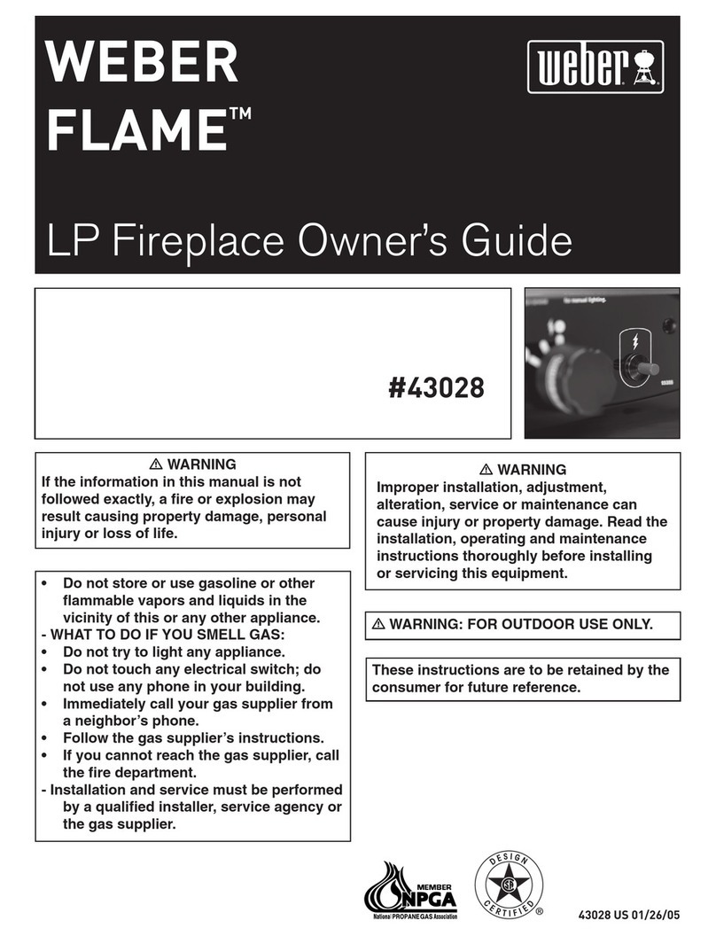 Weber 43028 owner's guide