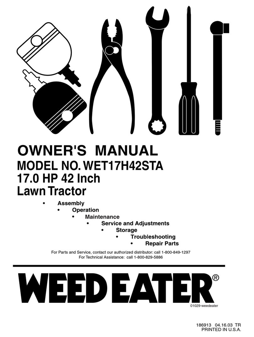 Weed Eater WET17H42STA owner's manual