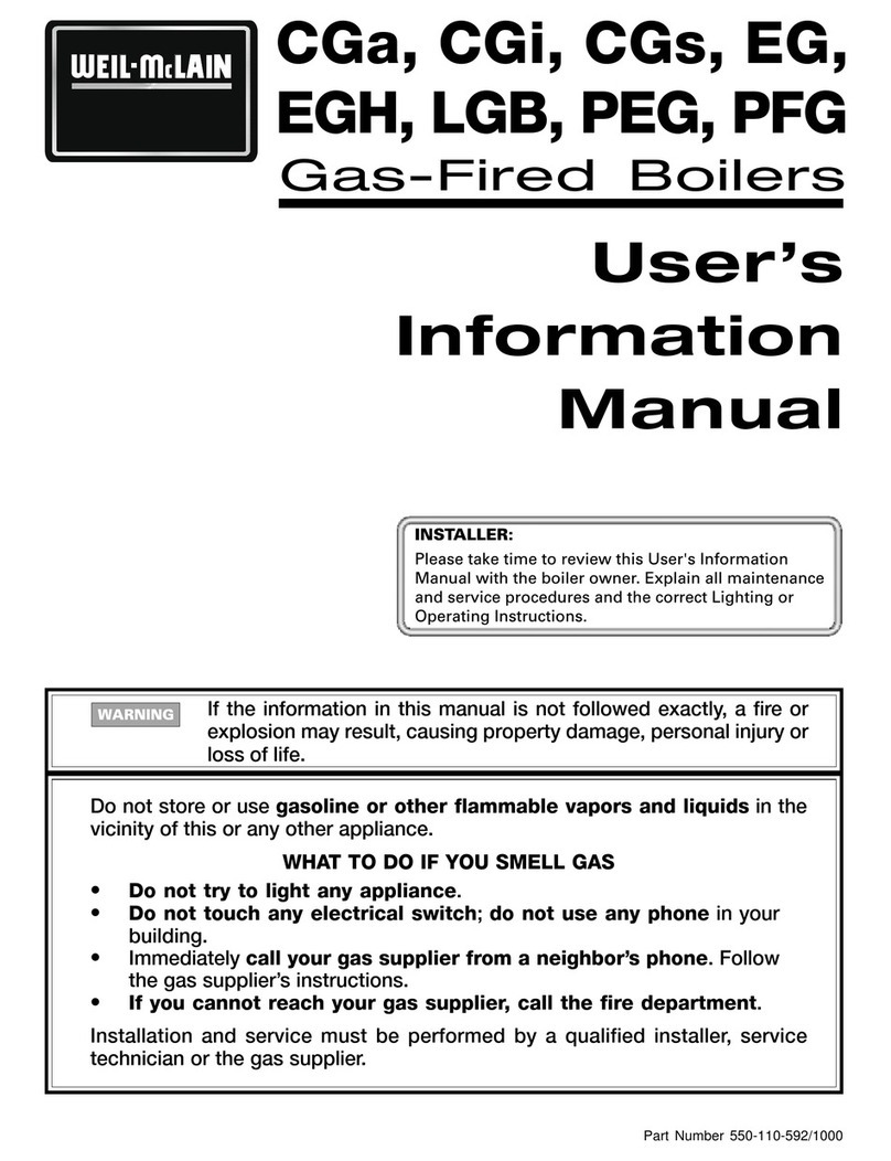 Weil-McLain CGi User's information manual