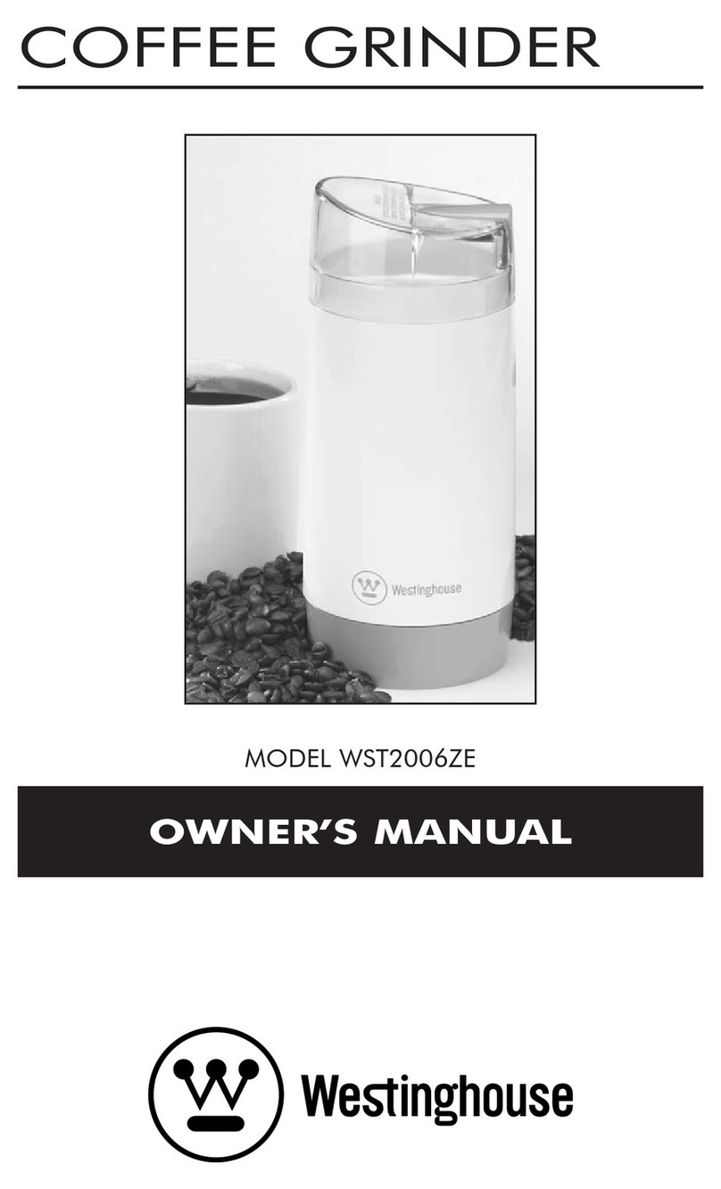 Westinghouse WST2006ZE owner's manual