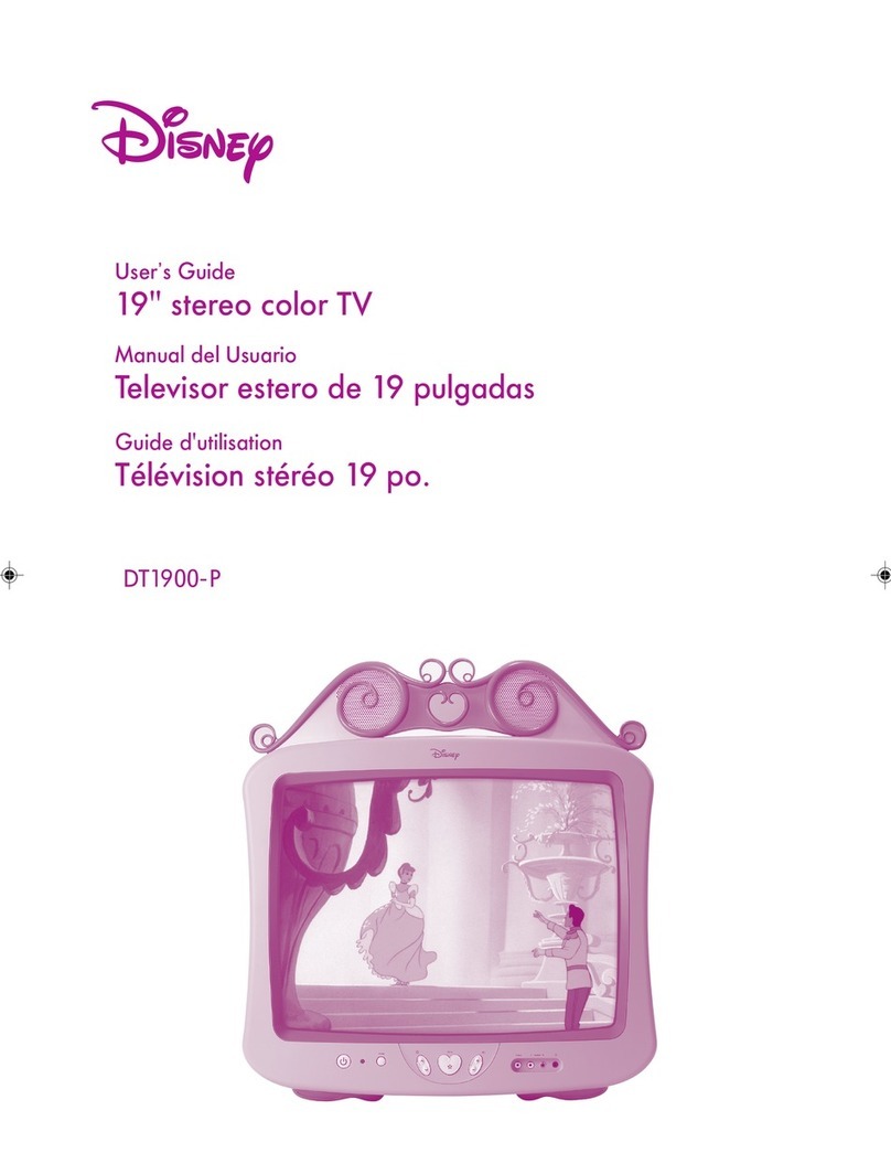 Disney DT1900-P User manual