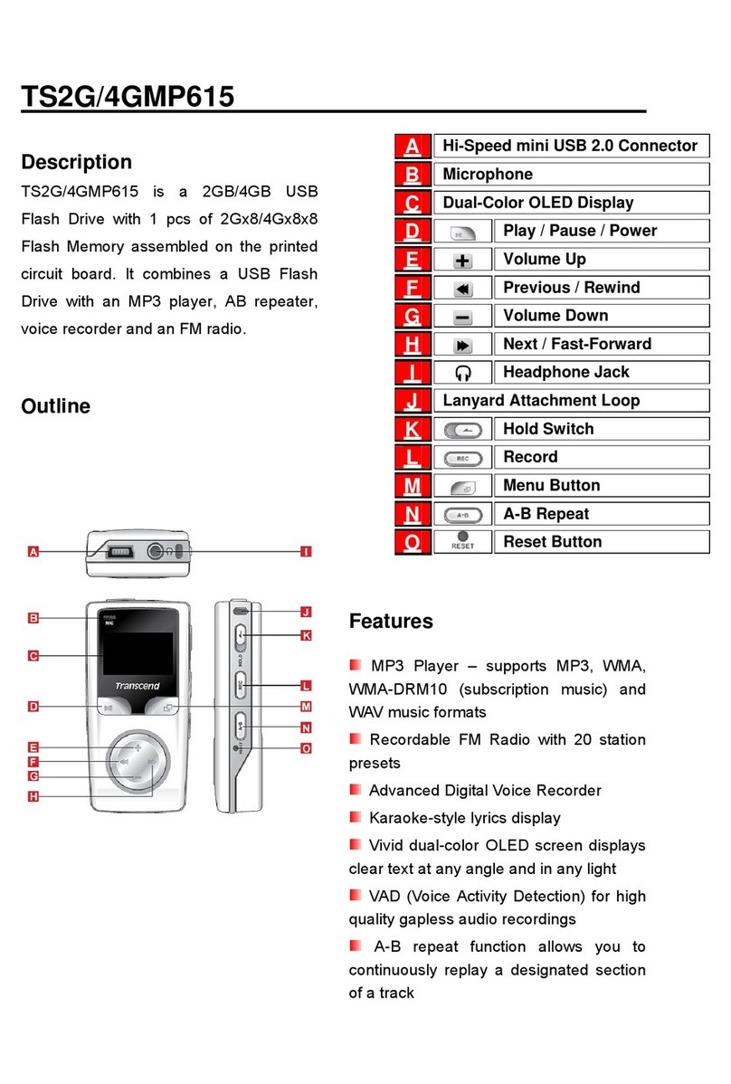 Transcend TS2G/4GMP615 Specification sheet