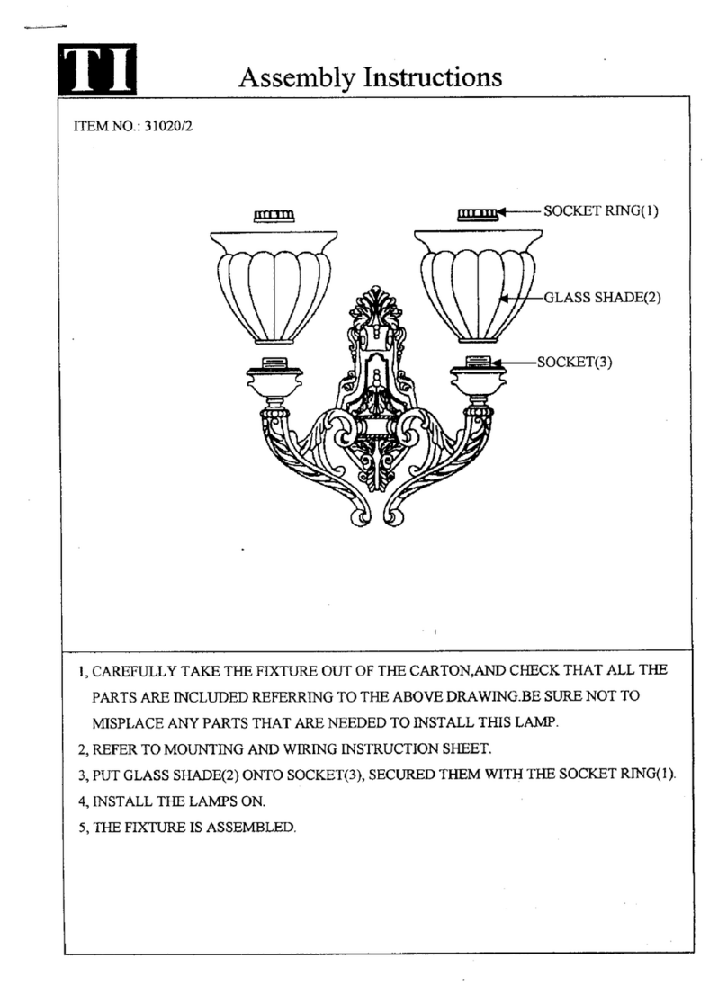 Triarch Indoor Lighting 31020/2 Assembly instructions