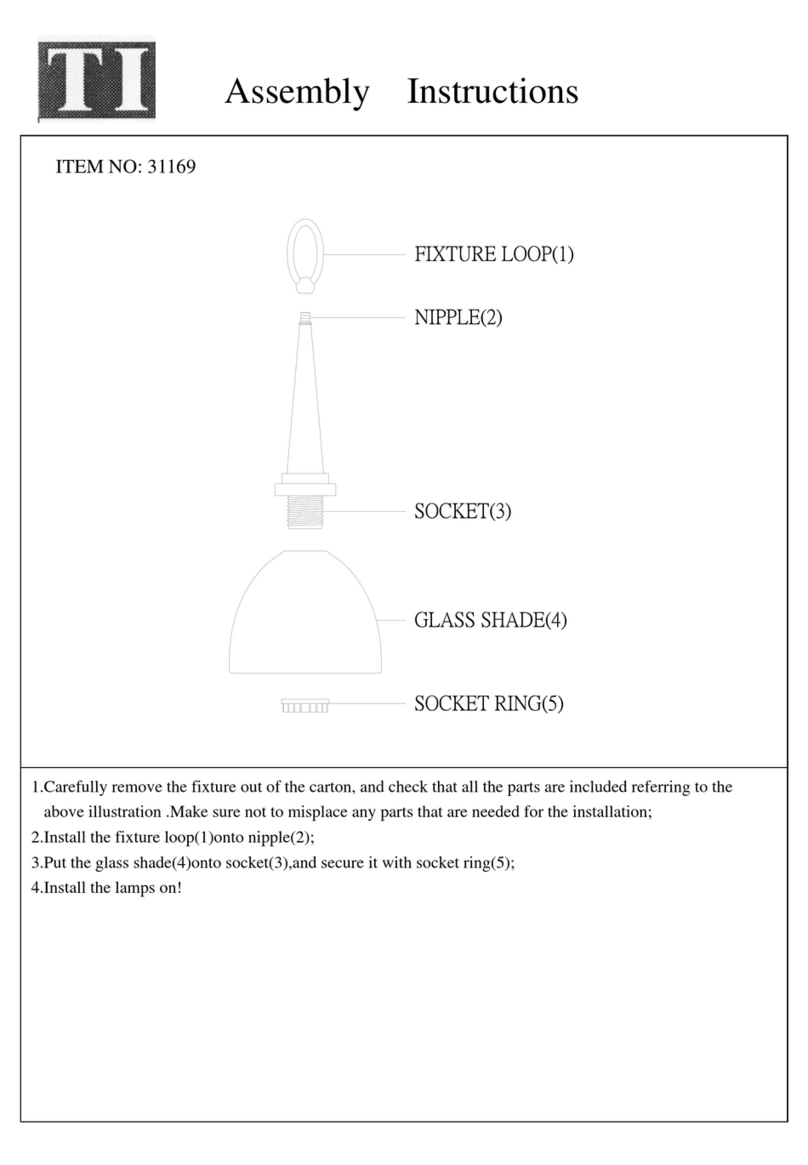 Triarch Indoor Lighting 31169 User manual Triarch Indoor Lighting 31169 User manual