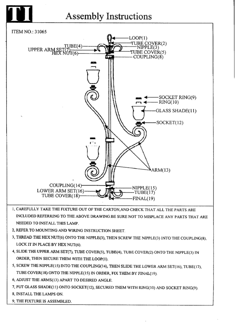 Triarch Indoor Lighting 31065 User manual Triarch Indoor Lighting 31065 User manual