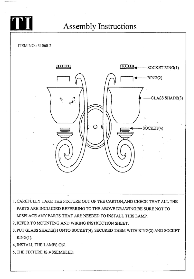 Triarch Indoor Lighting 31060-2 User manual Triarch Indoor Lighting 31060-2 User manual