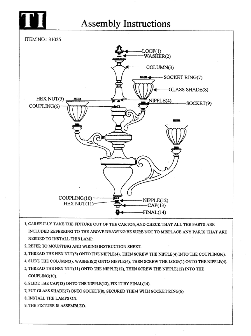 Triarch Indoor Lighting 31025 Assembly instructions
