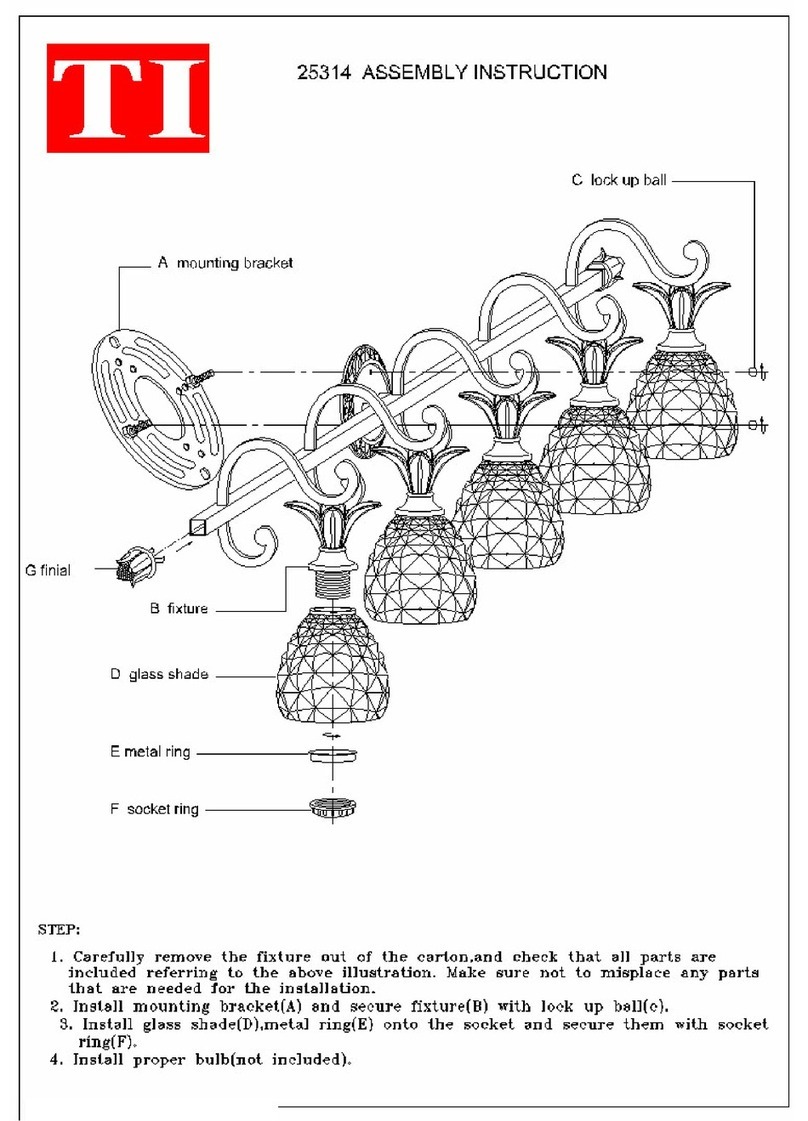 Triarch Indoor Lighting 25314 Assembly instructions