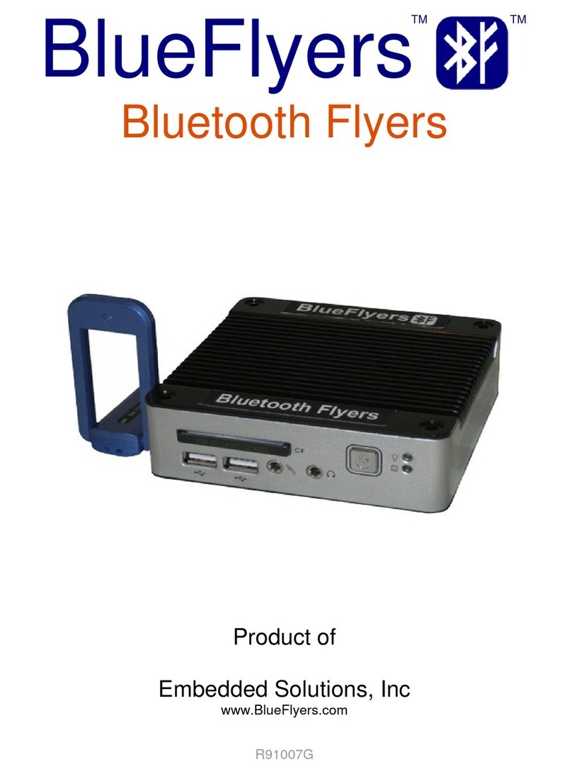 Embedded Solutions Bluetooth R91007G manual