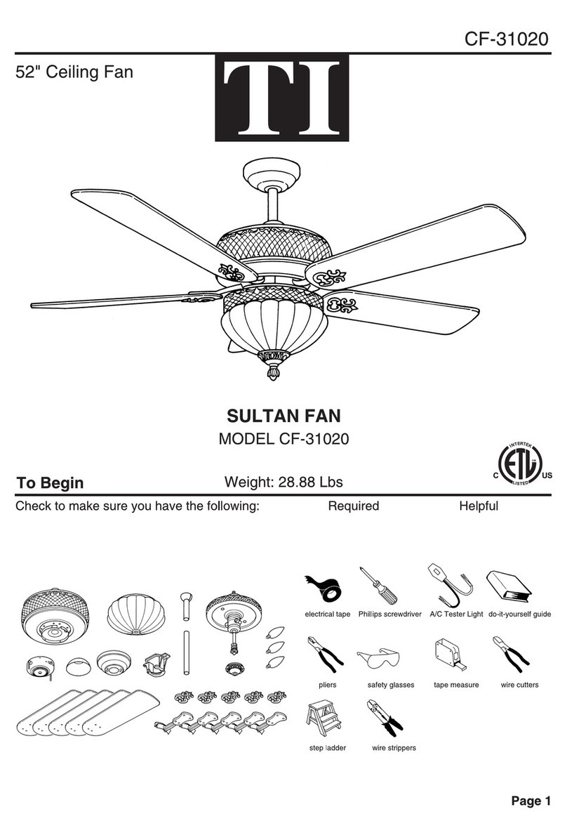 TI CF31020 User manual